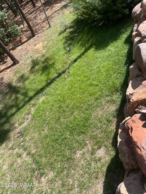 Tiny photo for 3880 S Mule Skinner Loop, Show Low, AZ 85901 (MLS # 260350)