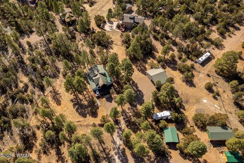 Tiny photo for 3310 Tonto Drive, Overgaard, AZ 85933 (MLS # 259110)