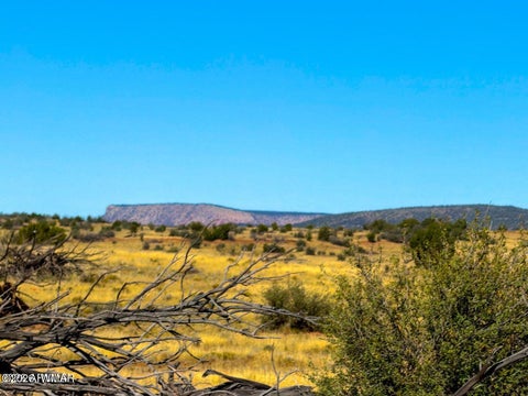 Photo of 0 W Jandscountry Ln 40 Acres, Seligman, AZ 86337 (MLS # 263665)