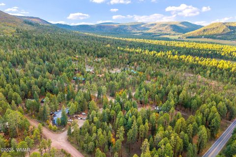 Tiny photo for 7 2190, Alpine, AZ 85920 (MLS # 258231)