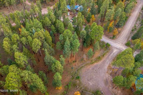 Tiny photo for 7 2190, Alpine, AZ 85920 (MLS # 258231)
