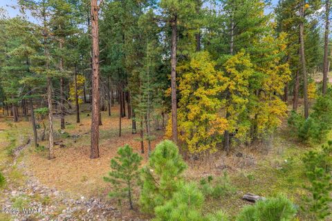 Tiny photo for 7 2190, Alpine, AZ 85920 (MLS # 258231)