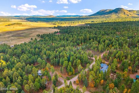 Tiny photo for 7 2190, Alpine, AZ 85920 (MLS # 258231)