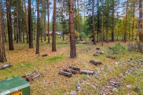 Tiny photo for 7 2190, Alpine, AZ 85920 (MLS # 258231)
