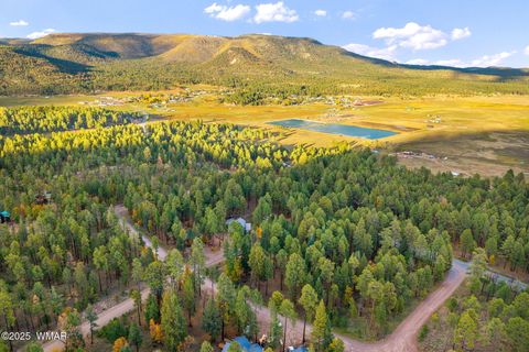 Tiny photo for 7 2190, Alpine, AZ 85920 (MLS # 258231)