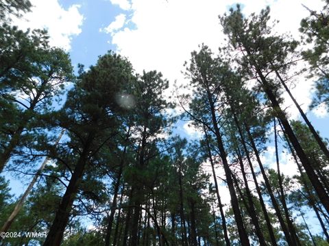 Tiny photo for 009A N2266, Alpine, AZ 85920 (MLS # 252576)