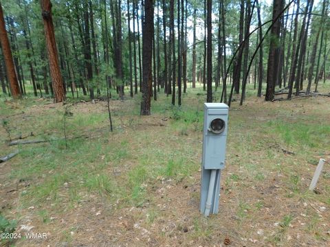 Tiny photo for 009A N2266, Alpine, AZ 85920 (MLS # 252576)