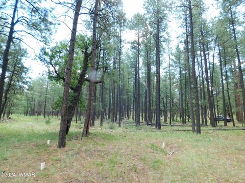Tiny photo for 009A N2266, Alpine, AZ 85920 (MLS # 252576)