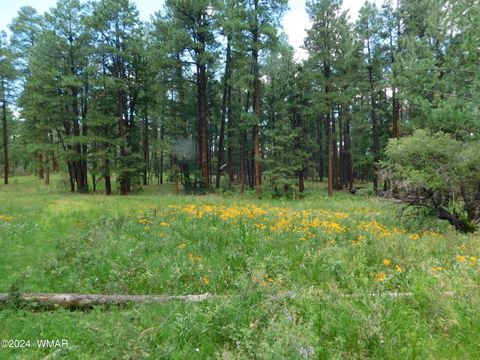 Tiny photo for 009A N2266, Alpine, AZ 85920 (MLS # 252576)