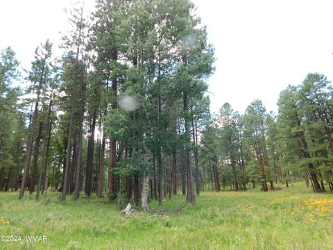 Tiny photo for 009A N2266, Alpine, AZ 85920 (MLS # 252576)