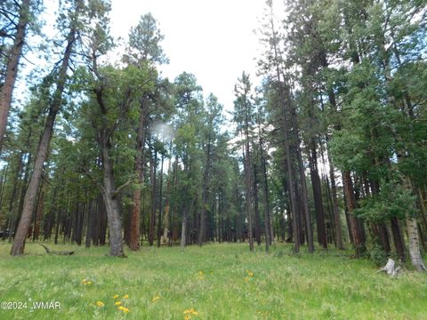 Tiny photo for 009A N2266, Alpine, AZ 85920 (MLS # 252576)