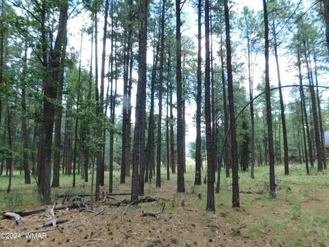 Tiny photo for 009A N2266, Alpine, AZ 85920 (MLS # 252576)