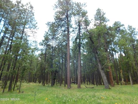 Tiny photo for 009A N2266, Alpine, AZ 85920 (MLS # 252576)
