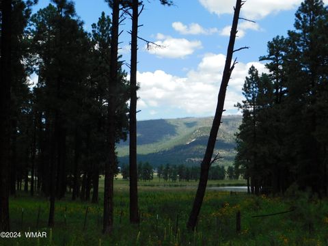Tiny photo for 009A N2266, Alpine, AZ 85920 (MLS # 252576)