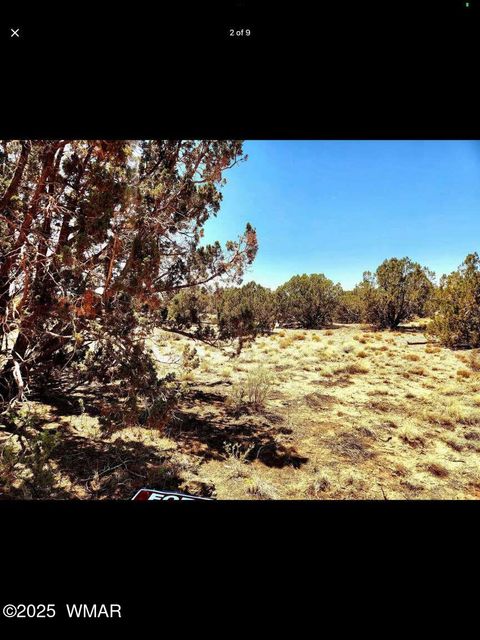 Tiny photo for 4114-4116 Colt Road, Snowflake, AZ 85937 (MLS # 257711)