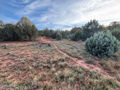 Tiny photo for 7073 Bustin Dutch Trail, Show Low, AZ 85901 (MLS # 258634)