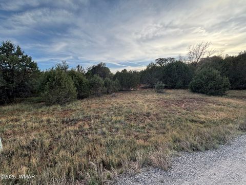 Photo of 7073 Bustin Dutch Trail, Show Low, AZ 85901 (MLS # 258634)