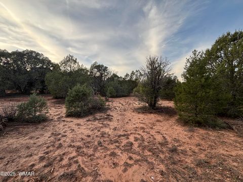 Tiny photo for 7073 Bustin Dutch Trail, Show Low, AZ 85901 (MLS # 258634)