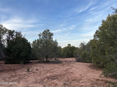 Tiny photo for 7073 Bustin Dutch Trail, Show Low, AZ 85901 (MLS # 258634)