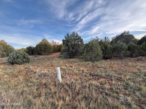 Tiny photo for 7073 Bustin Dutch Trail, Show Low, AZ 85901 (MLS # 258634)