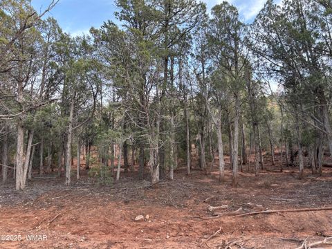 Tiny photo for 7073 Bustin Dutch Trail, Show Low, AZ 85901 (MLS # 258634)
