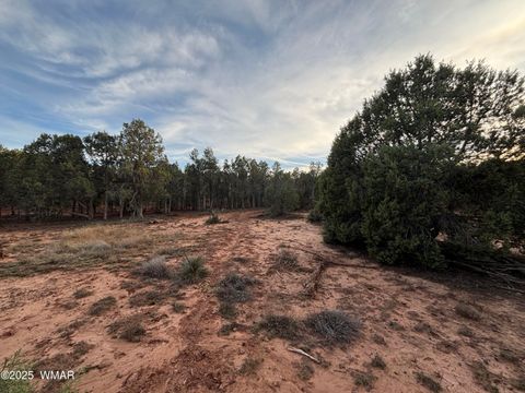 Tiny photo for 7073 Bustin Dutch Trail, Show Low, AZ 85901 (MLS # 258634)