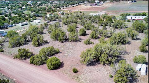 Photo of 8522 Big Bear Drive, Show Low, AZ 85901 (MLS # 260789)
