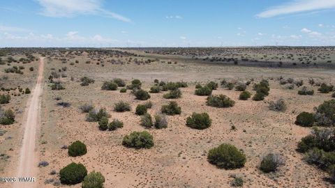 Tiny photo for 595 Lot Graham Road, Heber, AZ 85928 (MLS # 259063)