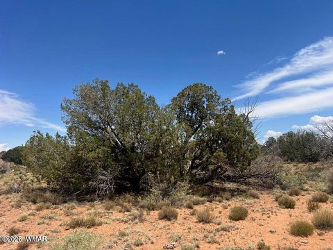 Tiny photo for 595 Lot Graham Road, Heber, AZ 85928 (MLS # 259063)