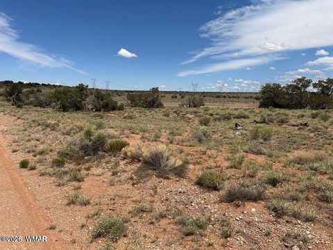 Tiny photo for 595 Lot Graham Road, Heber, AZ 85928 (MLS # 259063)