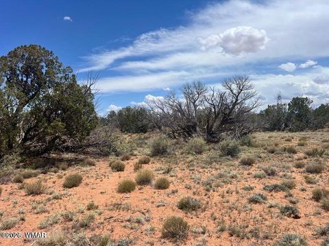 Tiny photo for 595 Lot Graham Road, Heber, AZ 85928 (MLS # 259063)