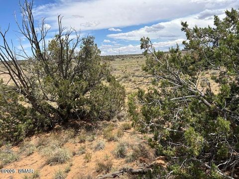 Tiny photo for 595 Lot Graham Road, Heber, AZ 85928 (MLS # 259063)