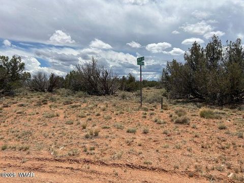 Tiny photo for 595 Lot Graham Road, Heber, AZ 85928 (MLS # 259063)