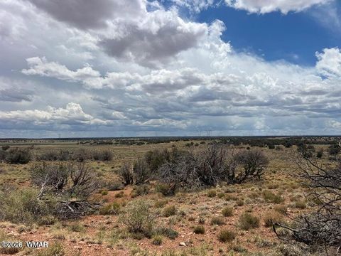 Tiny photo for 595 Lot Graham Road, Heber, AZ 85928 (MLS # 259063)