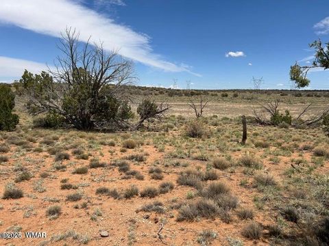 Tiny photo for 595 Lot Graham Road, Heber, AZ 85928 (MLS # 259063)