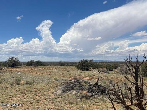Tiny photo for 595 Lot Graham Road, Heber, AZ 85928 (MLS # 259063)