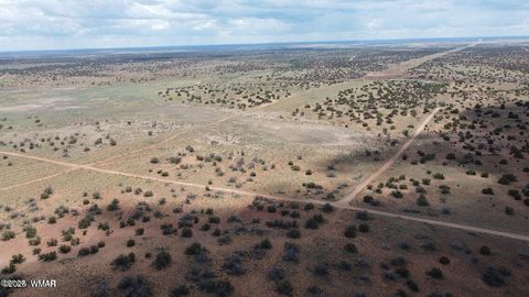 Tiny photo for 595 Lot Graham Road, Heber, AZ 85928 (MLS # 259063)