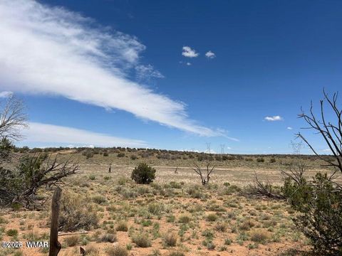 Tiny photo for 595 Lot Graham Road, Heber, AZ 85928 (MLS # 259063)