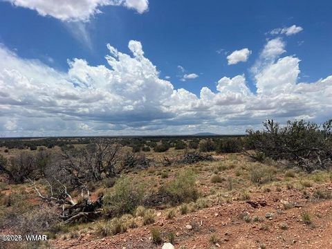 Tiny photo for 595 Lot Graham Road, Heber, AZ 85928 (MLS # 259063)