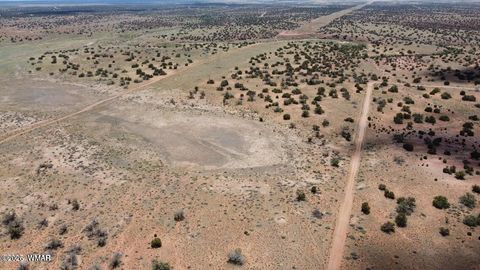 Tiny photo for 595 Lot Graham Road, Heber, AZ 85928 (MLS # 259063)