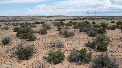 Tiny photo for 595 Lot Graham Road, Heber, AZ 85928 (MLS # 259063)