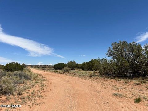Tiny photo for 595 Lot Graham Road, Heber, AZ 85928 (MLS # 259063)