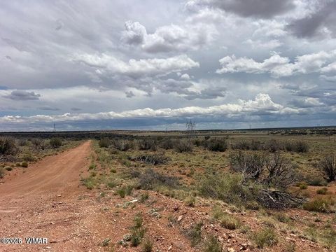 Tiny photo for 595 Lot Graham Road, Heber, AZ 85928 (MLS # 259063)