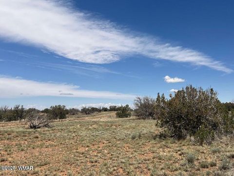 Tiny photo for 595 Lot Graham Road, Heber, AZ 85928 (MLS # 259063)