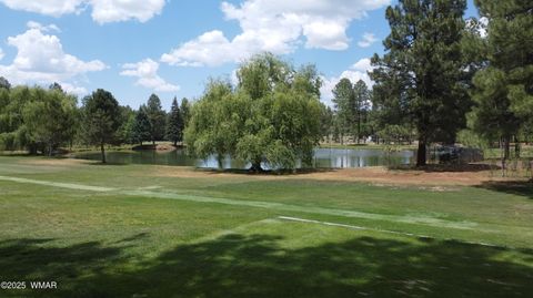 Tiny photo for 3603 Crown Dancer Drive, Pinetop, AZ 85935 (MLS # 256909)