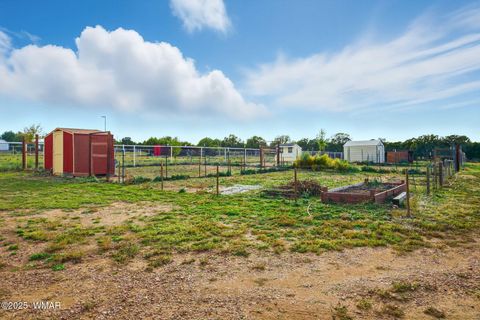 Tiny photo for 1866 Simpson Well Road, Show Low, AZ 85901 (MLS # 258397)