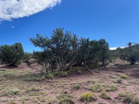 Tiny photo for 2837 Rebel Yell Road, Show Low, AZ 85901 (MLS # 258940)