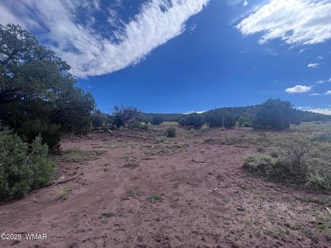 Tiny photo for 2837 Rebel Yell Road, Show Low, AZ 85901 (MLS # 258940)