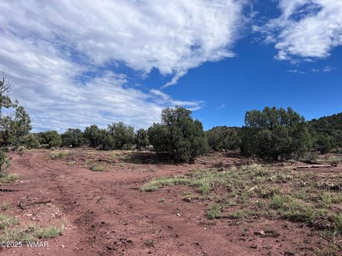 Photo of 2837 Rebel Yell Road, Show Low, AZ 85901 (MLS # 258940)