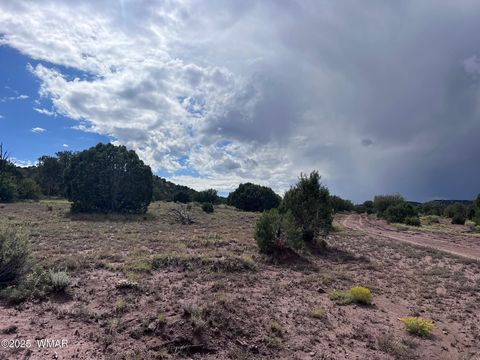 Tiny photo for 2837 Rebel Yell Road, Show Low, AZ 85901 (MLS # 258940)